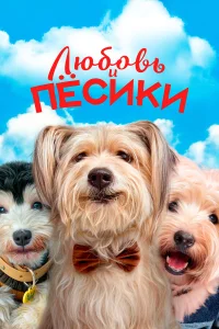  Любовь и пёсики 